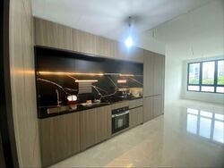 Irwell Hill Residences (D9), Apartment #549536821